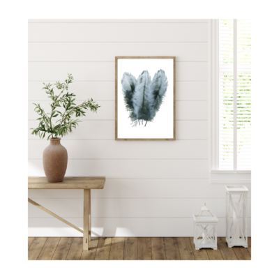 Grey Feathers